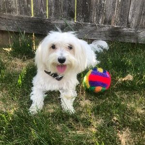 Meet your Posher, Emily